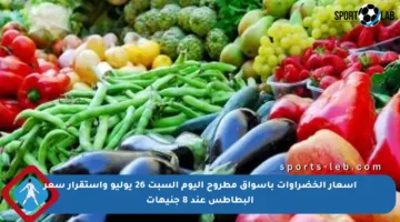 أسعار الخضراوات بأسواق مطروح اليوم السبت 26 يوليو واستقرار سعر البطاطس عند 8 جنيهات